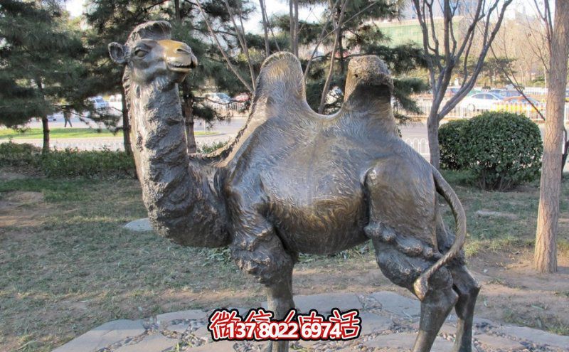 創(chuàng)意大型玻璃鋼駱駝雕塑，在草地上擺放，一眼回頭